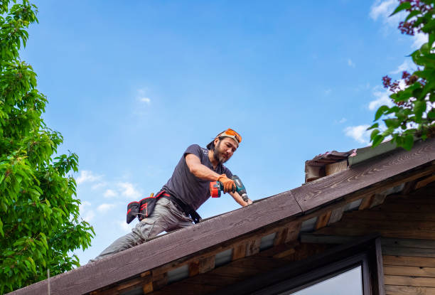 Best Roof Moss and Algae Removal  in St Joseph, MO